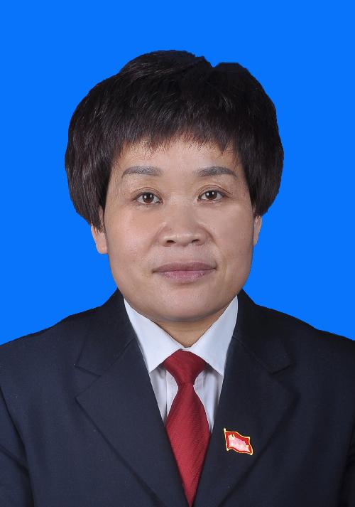 王佐琴三级调研员