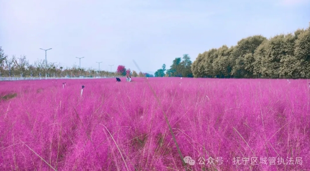 微信截图_20241011161953.png